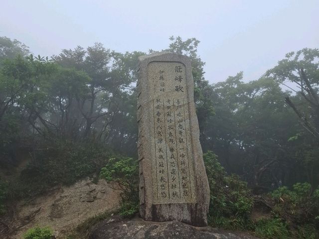 三重山頂秘境！絕美公園四季皆風景！