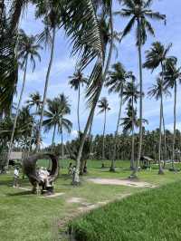 Peaceful Escape to Kampung Agong: Embracing Nature and Nostalgia
