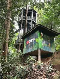 KL Eco Forest Park & Canopy Walk: A Green Escape in the City