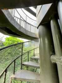KL Eco Forest Park & Canopy Walk: A Green Escape in the City
