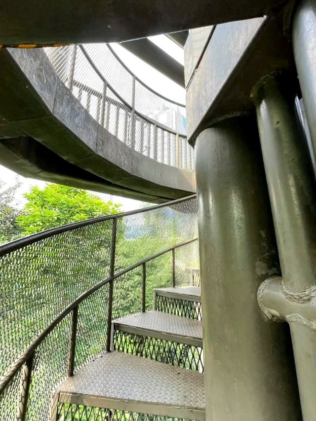 KL Eco Forest Park & Canopy Walk: A Green Escape in the City