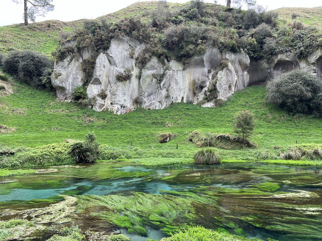 紐西蘭旅遊景點—💦 Blue Springs｜比寶礦力還清澈的湛藍夢幻水源地