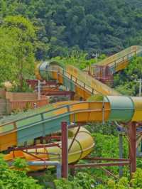 💦🌴 Forest Sea Water Park Zengcheng – Summer Fun in the Jungle! 🏝️😎