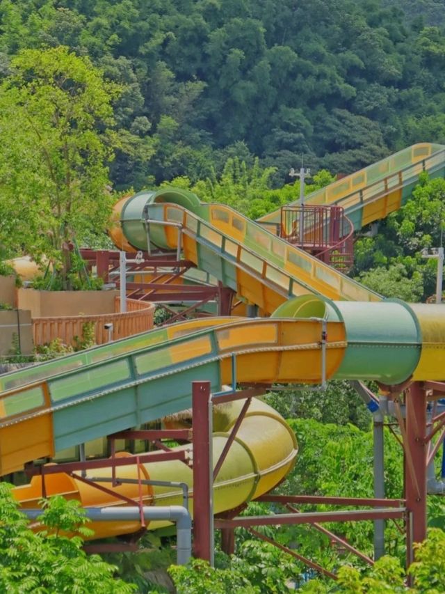 💦🌴 Forest Sea Water Park Zengcheng – Summer Fun in the Jungle! 🏝️😎