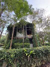 Weekend Getaway at Happi Village, Janda Baik 🏞️🌿