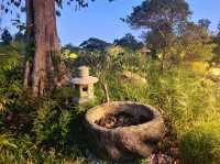 Nightscapes at Japanese Gardens