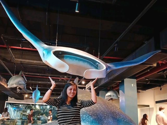 amazing journey around manila,