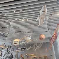 The Shanghai Natural History Museum