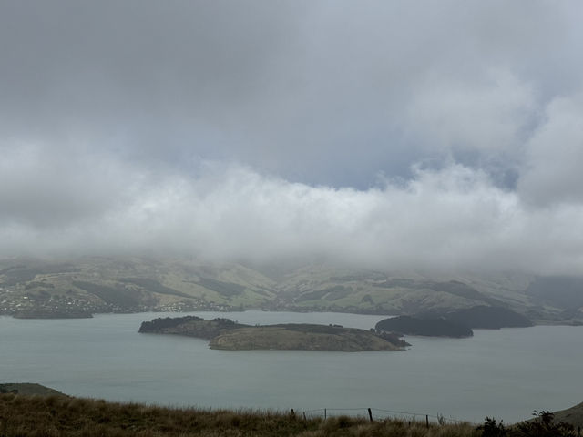 Stunning views of Lyttelton Harbour, the volcanic peaks and ridges of Banks Peninsula