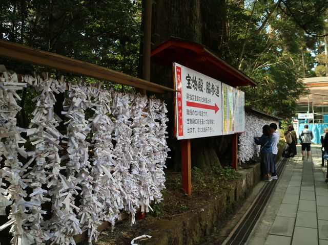 📍箱根神社 · 森林中的靜謐力量