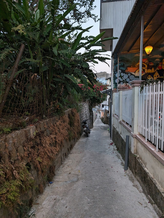 Da Lat: The City of Eternal Spring and Mountain Cool! 🇻🇳🏡