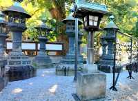 An assembly of Stones, the Stone lanterns of Ueno Toshogu Shrine