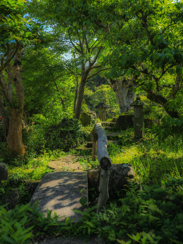 【静岡🇯🇵】下田で過ごすとある夏の1日☀️