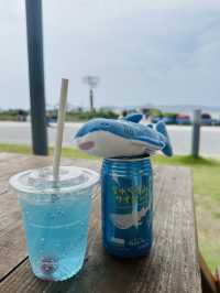 🐋Okinawa Churaumi Aquarium🐋