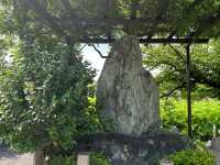 Amazing Ueno Park: Tokyo’s Timeless Treasure