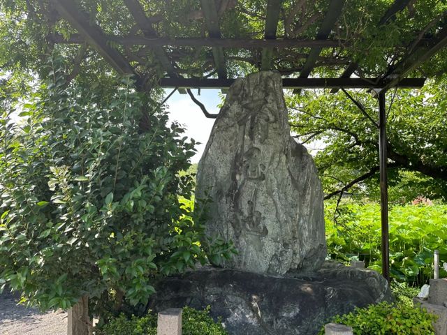 Amazing Ueno Park: Tokyo’s Timeless Treasure