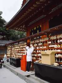 Tsurugaoka Hachimangu ⛩️