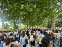 Beyond the Castle: Discover the Unique World of Shanghai Disneyland