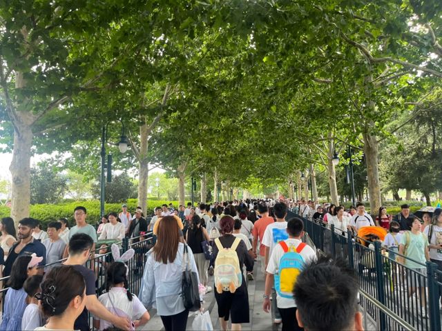 Beyond the Castle: Discover the Unique World of Shanghai Disneyland