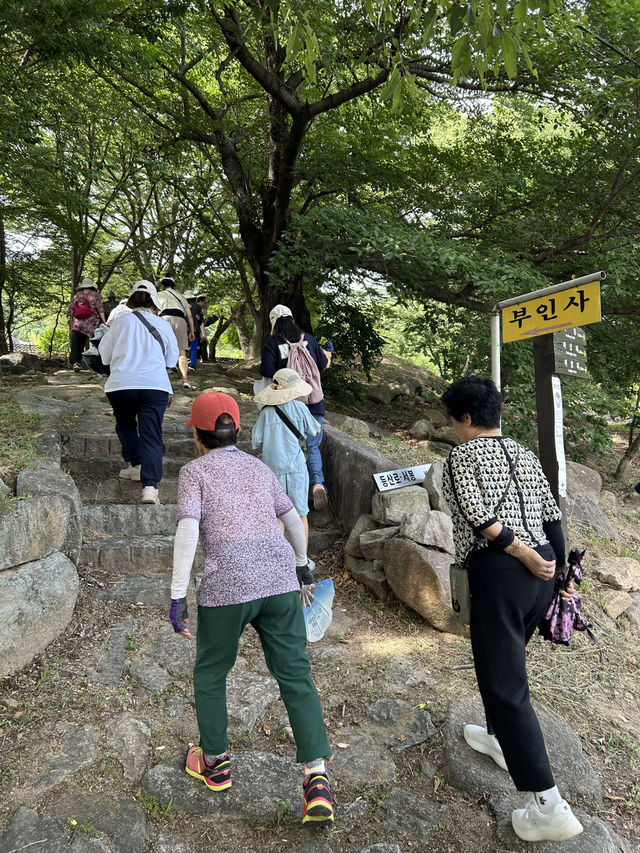 🇰🇷大邱✈️八公山半山腰的符仁寺부인사