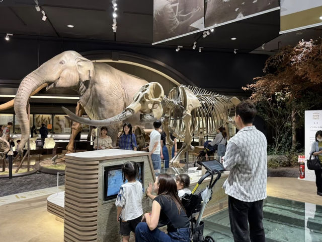Shiga Prefectural Biwako Museum: All About Lake Biwa (and Expo Stamps!) 🇯🇵🐟