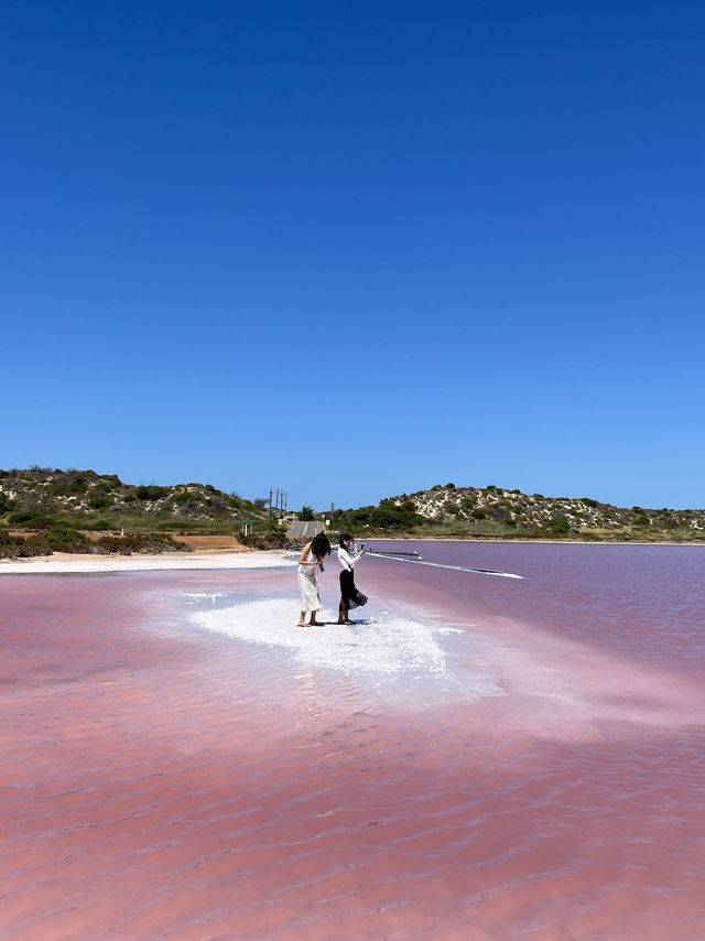 💗 Yes, the Lake Is Actually Pink — Western Australia’s Real-Life Barbiecore Dream 🌸🫧