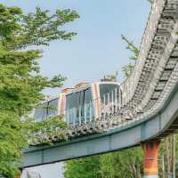 Wolmido Island: A Nostalgic Seaside Escape Just Outside Seoul"** 🌊🎡