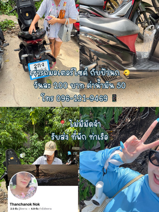 เที่ยวเกาะเต่า 3 วัน ไปไหนดี ✨🐢🌝🏝️