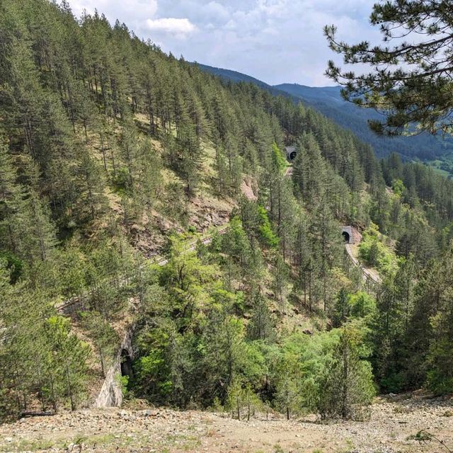 All Aboard the Mountain Loop