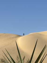 Hayaat: Wheee The Desert Steams