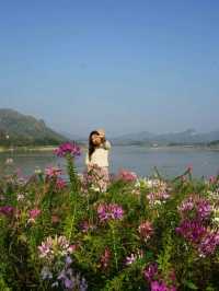 พาไปฟิน@บ้านติดดิน ที่เชียงคาน!!