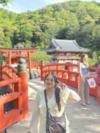วัดดารุมะ Katsuoji temple