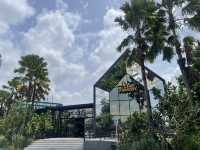 คาเฟ่นกแก้ว NY304