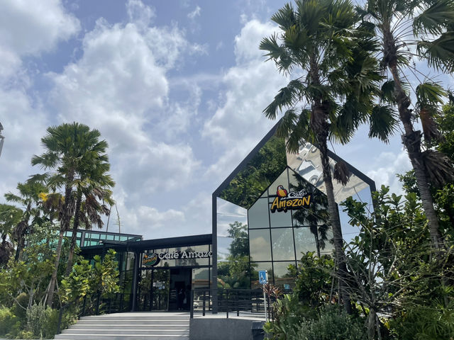 คาเฟ่นกแก้ว NY304