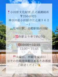 🖼知る人ぞ知る！自然の中にある博物館 in 小田原🖼