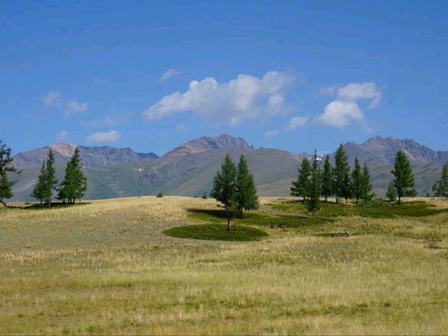 Mountains, Meadows & Endless Views. Strolling the Chuysky Trakt