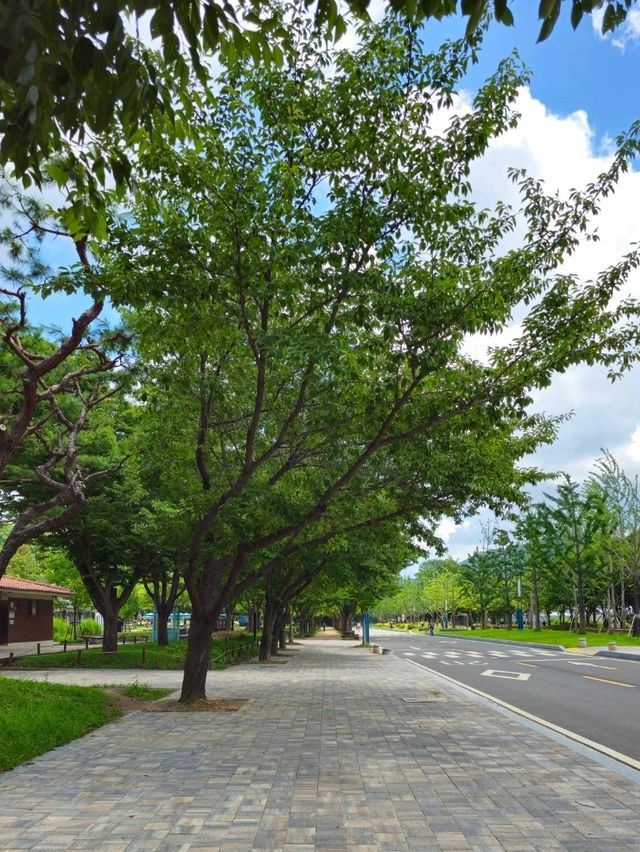 인천대공원 호수광장
