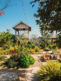 Happy Farm เวียงป่าเป้า 🌲🌲