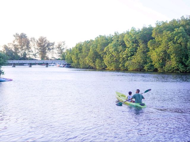 Mangrove Bungalow 🛏️