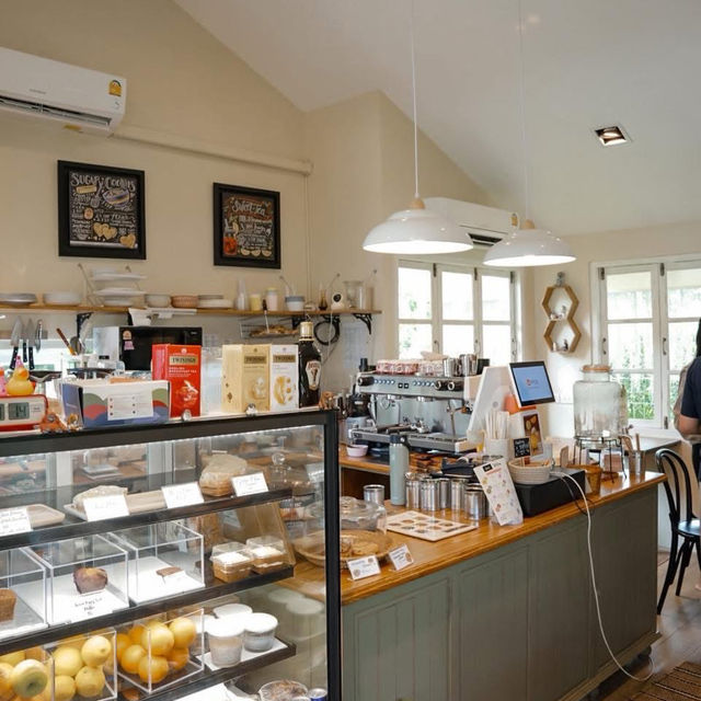 🥬🏡 Butterhead Farm & Cafe