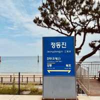 🌅🌊 *Jeongdongjin Summer Diary: Where the Sun Rises First in Korea!* 🚂☀️**  
