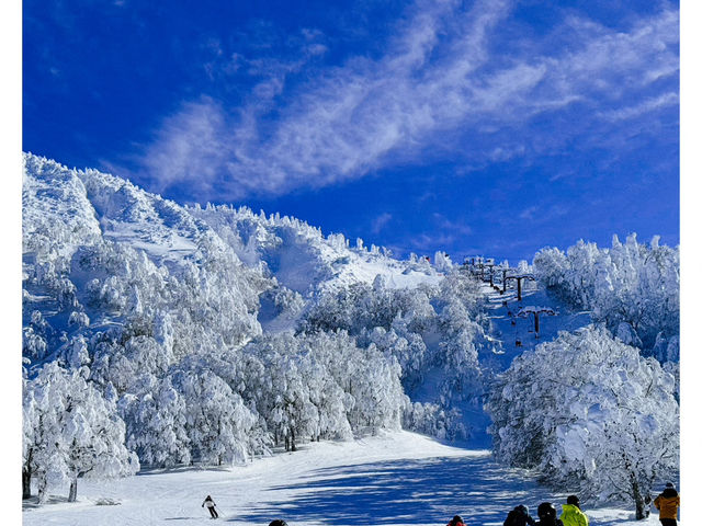 💕💕藏王滑雪如此震撼💕💕