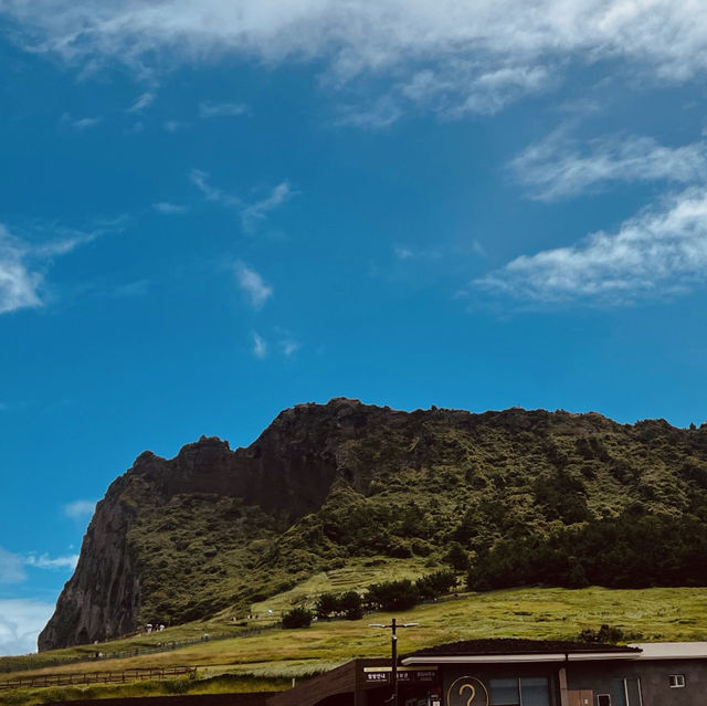 A Family-Friendly Adventure with Diverse Experiences
