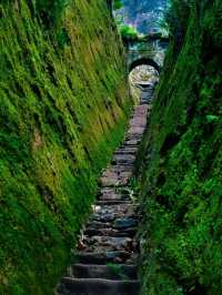 🍃 Wuyi Mountain — China Fujian 🇨🇳✨