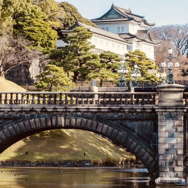 🏯 Step into History: Solo Visit to Tokyo Imperial Palace! 🇯🇵