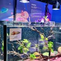 Seamlessly Integrated with Jeju's Eastern Coast Attractions