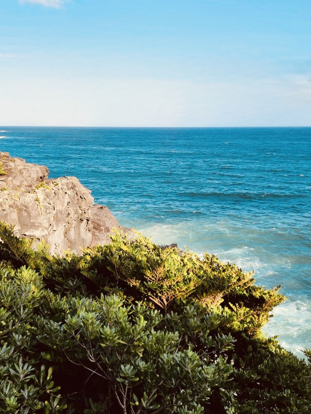Panoramic Ocean Views from Jeju's Southern Coast