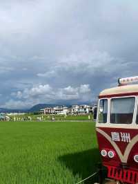 Xizhou Days: A Journey into Yunnan’s Hidden Heritage