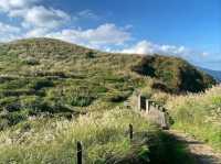 Experience the Tranquil Beauty of Qingtiangang Grassland