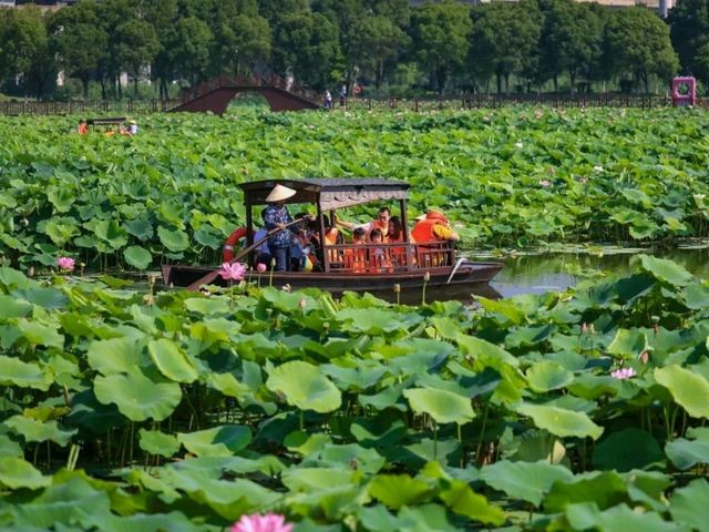 “Lotus Shade Sanctuary of Bishagang”